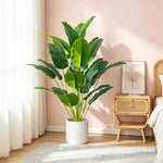 Plantas artificiais de decoração