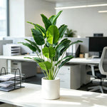 Plantas artificiais de decoração